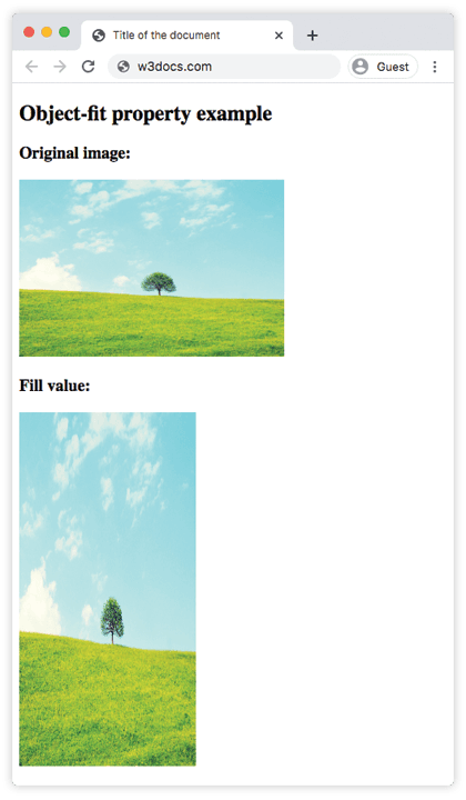 CSS object-fit fill-Wert streckt ein Bild